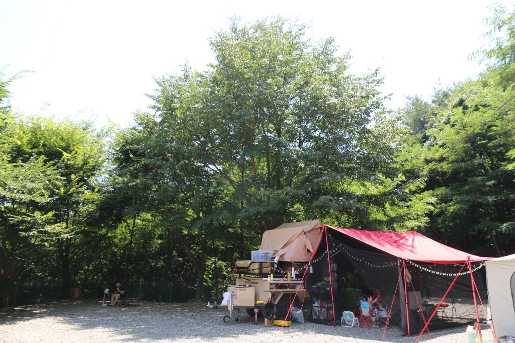 여름 캠핑장